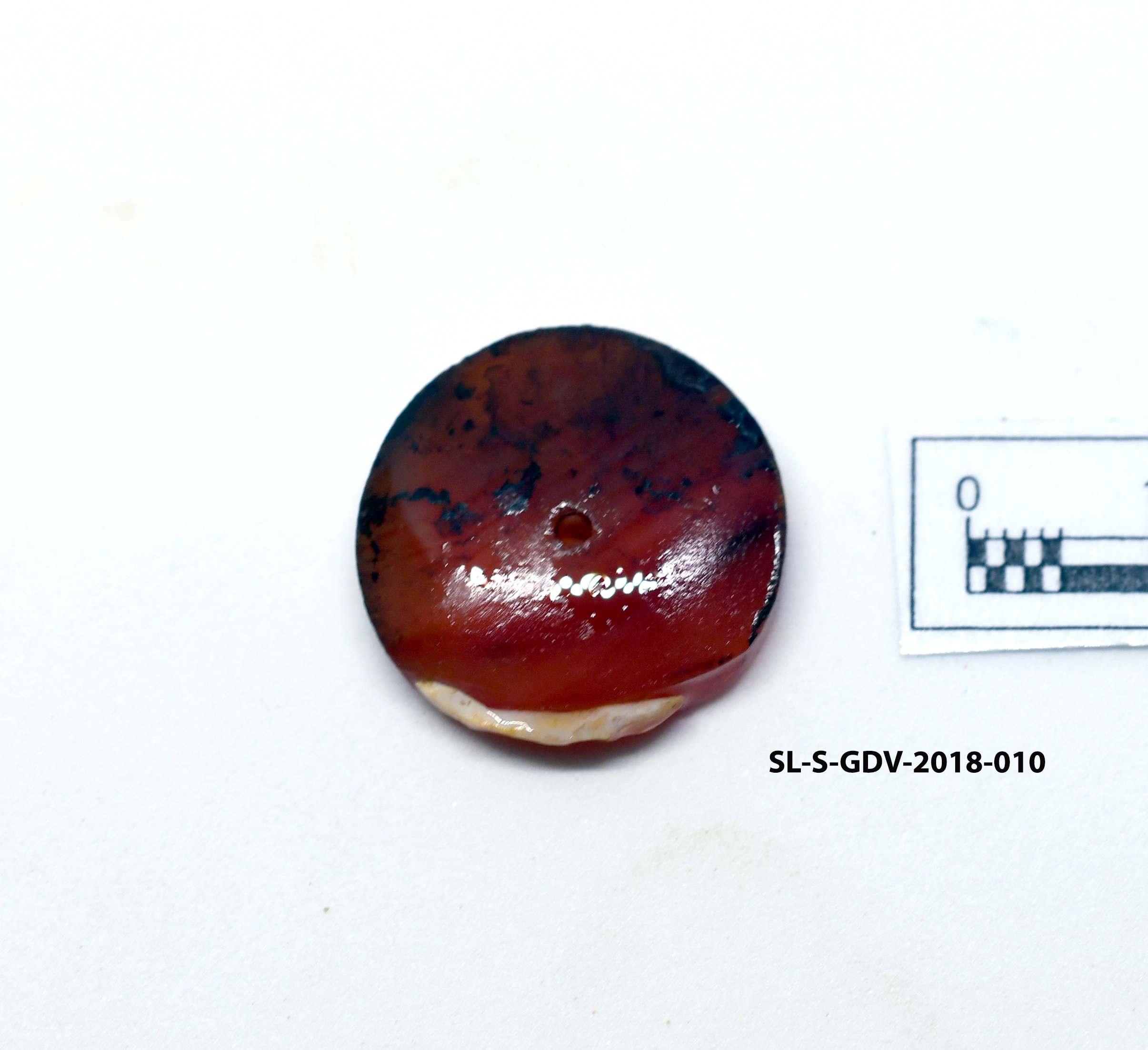 Oblate Disc beads — artifact at Maritime Archaeology Museum