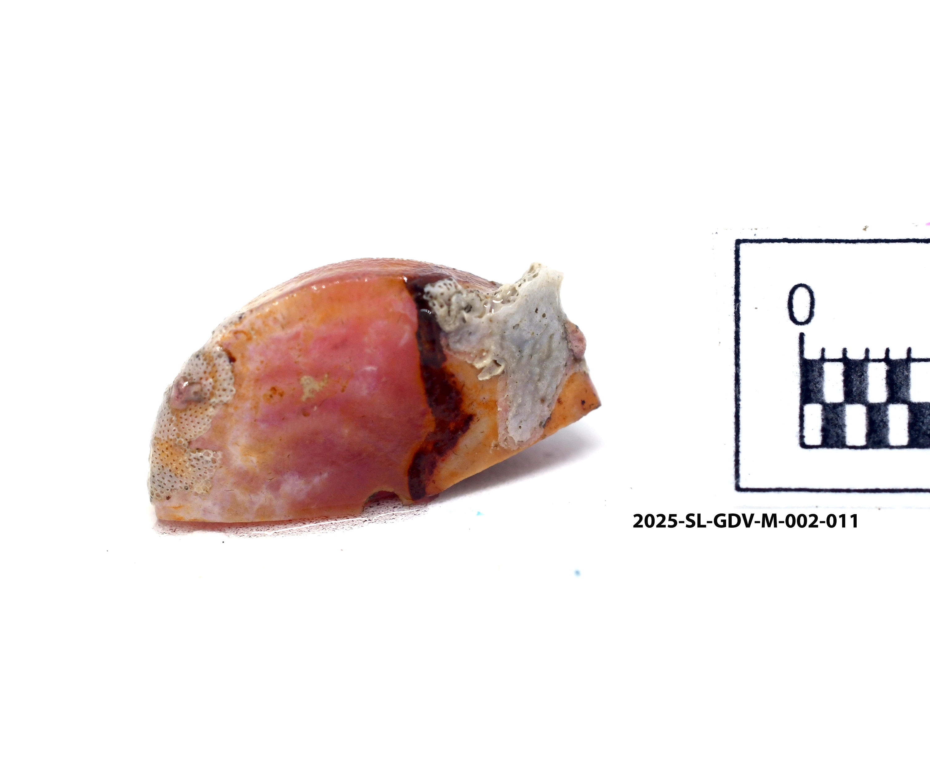 Piece of Bead — artifact at Maritime Archaeology Museum
