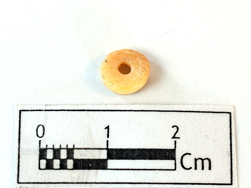 Coral Bead — Maritime Archaeology Museum හි ඇති කෞතුක භාණ්ඩයකි