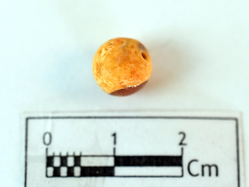 Carnelian Bead — Maritime Archaeology Museum හි ඇති කෞතුක භාණ්ඩයකි