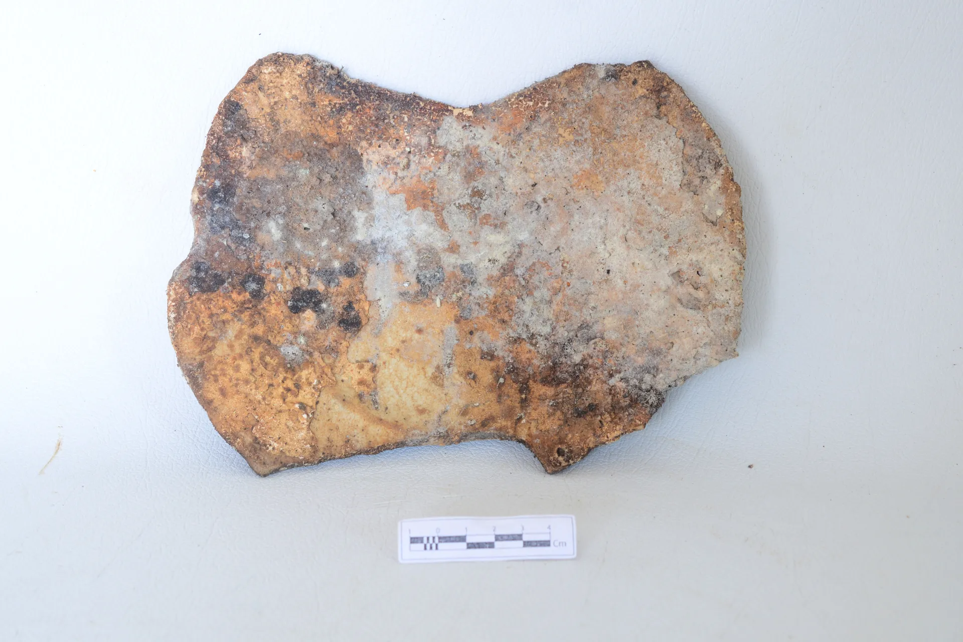 A Part of ceremic object — Maritime Archaeology Museum இல் உள்ள கலைப்பொருள்