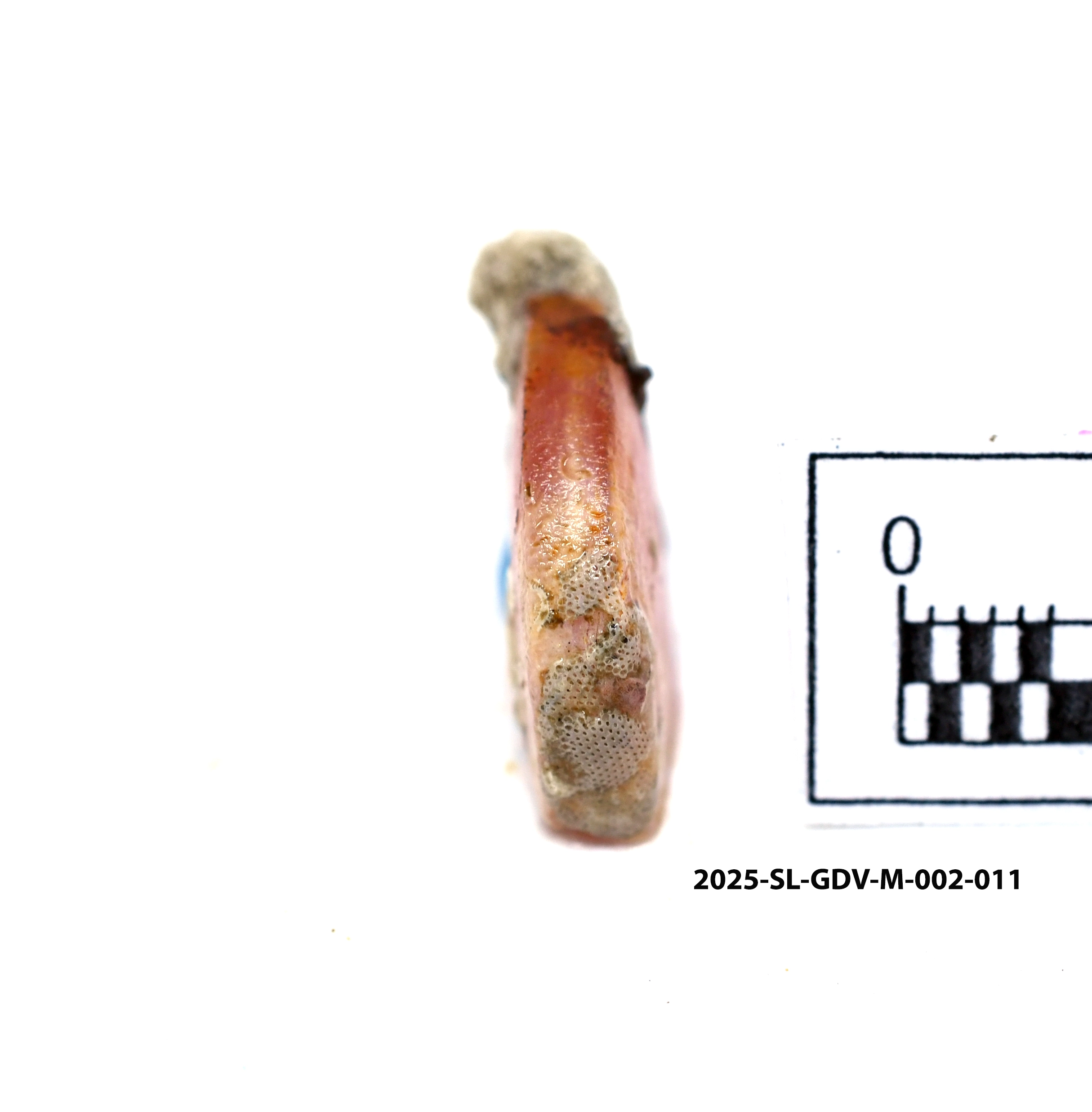 Piece of Bead — image 3